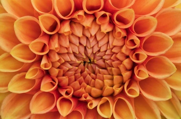 清正廉洁格言_名人名言