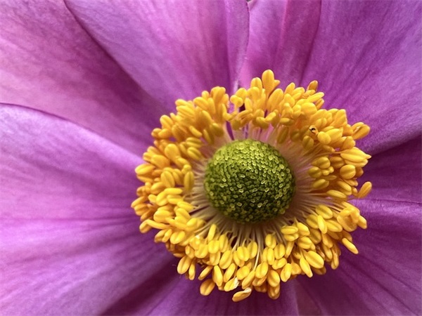 赞美老师的格言