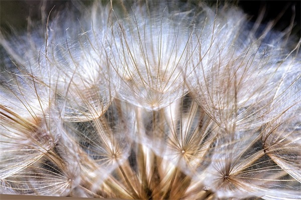 描写黑暗恐怖的句子