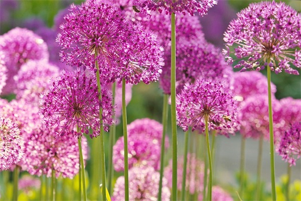 有关青春回忆的句子