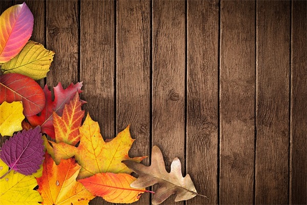 好好照顾自己的句子