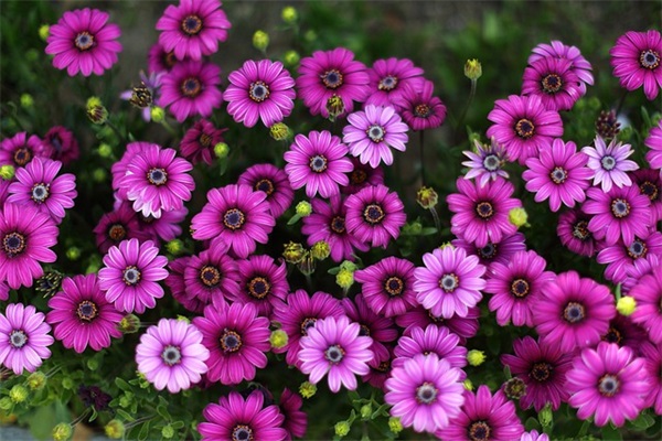 情侣留言句子 情侣留言暖心句子