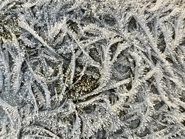 想念一个人的句子