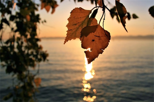 青春向上的句子