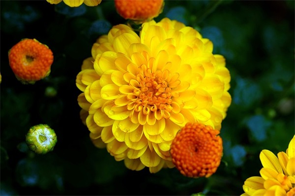 男人伤心失恋的句子