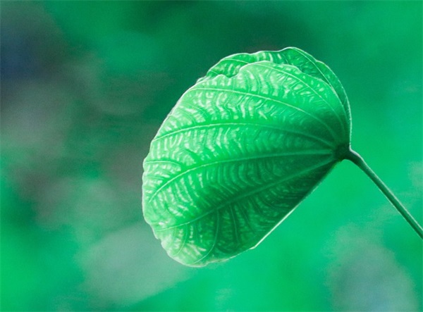 岁月悠悠往事如烟的句子四十四条