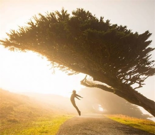 为目标奋斗的励志名言