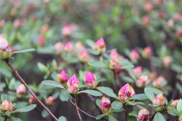 心被伤透了的句子65句