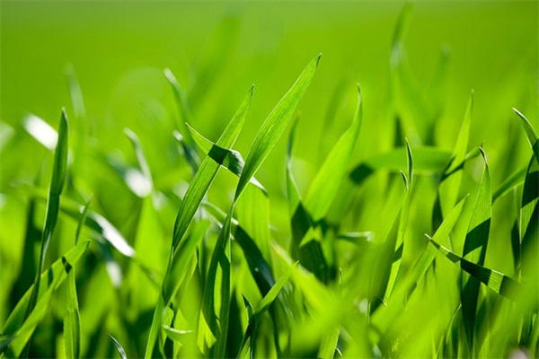 经典搞笑顺口溜句子大全