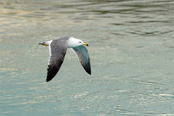 很丧感到绝望的句子 心情是黑色的悲伤说说