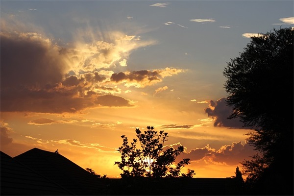 安慰自己的经典句子摘抄