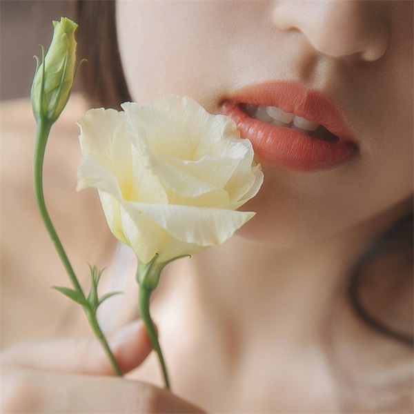 优雅的句子摘抄20句