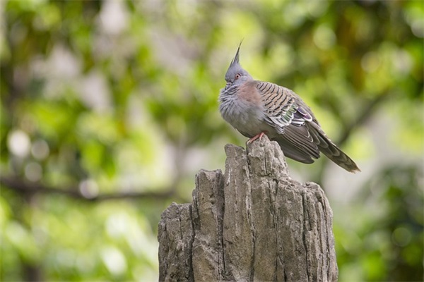 形容教室安静的句子