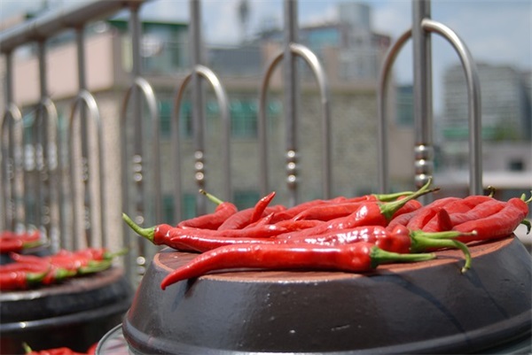 伤透了心的句子 被伤透了心失望的句子