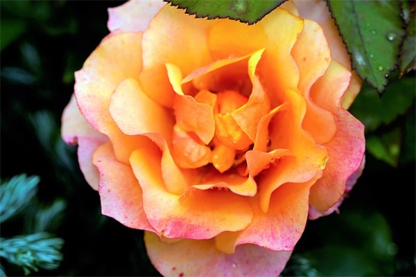 高情商暗示放弃一个人精辟句子