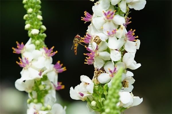 安慰心累的句子