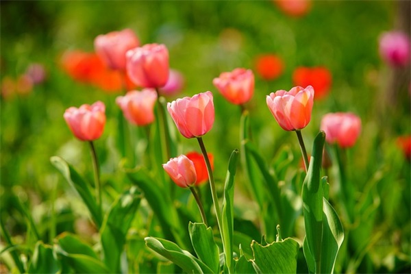 空间留言好听句子38句