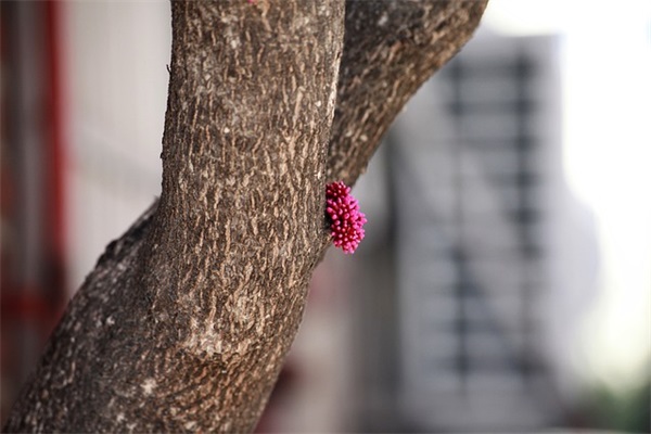 描写男女朋友异地恋最暖心的情话的句子