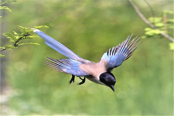 高中毕业感言句子