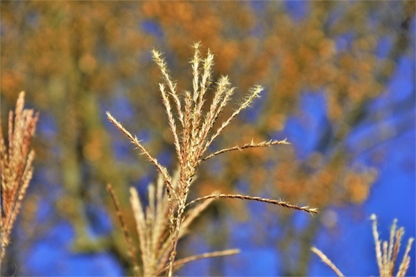 让人心碎的句子
