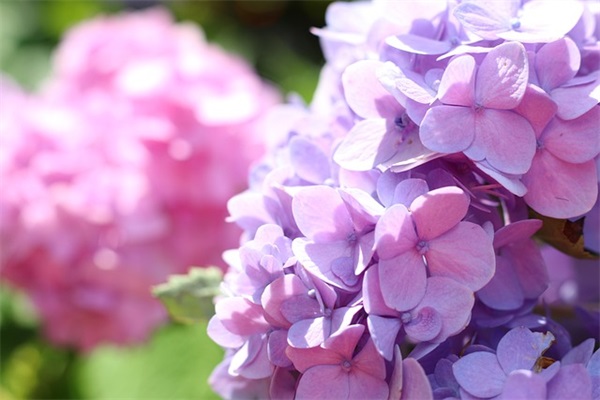 祝宝宝健康成长的句子