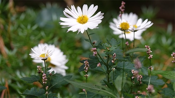致男闺蜜的句子