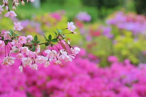 搞笑相亲句子汇总