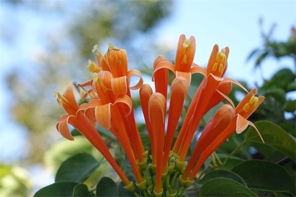 形容心如止水的句子