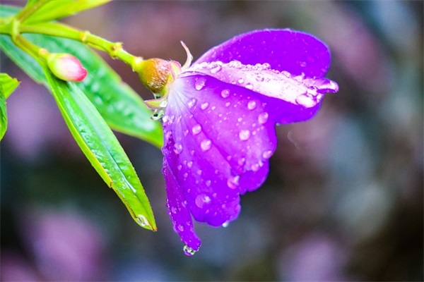 微信网名简单又好听 好听有内涵微信名字大全（精选推荐）