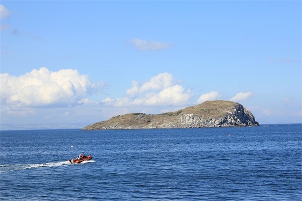 英雄联盟ID（英雄联盟好听的id名字）