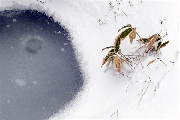有创意又好听的奶茶店名字 吸引人的洋气奶茶店名称（精选推荐）