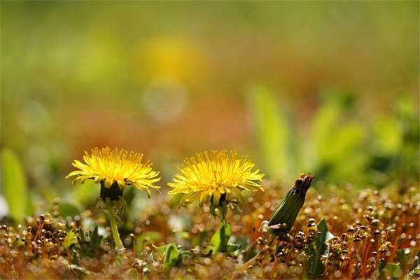 有个性的群名字（非常有个性的群名字）