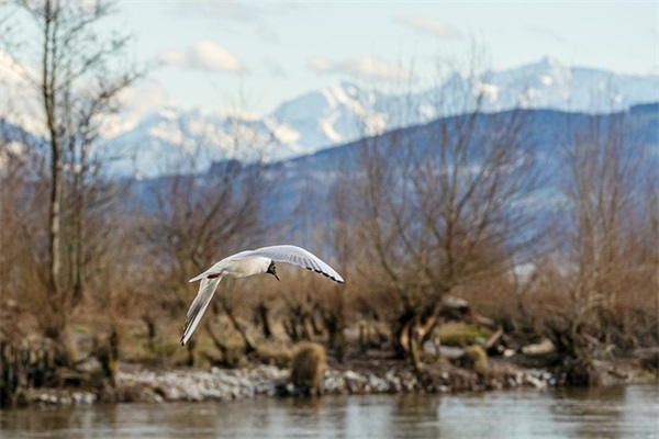 又可爱又沙雕的网名 很骚很皮的游戏名字（精选推荐）