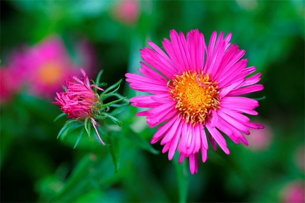 表示一个人生气愤懑的句子汇总七十条