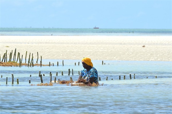 恶有恶报的经典句子40条