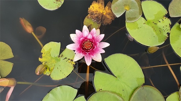 形容上班犯困的幽默句子分享