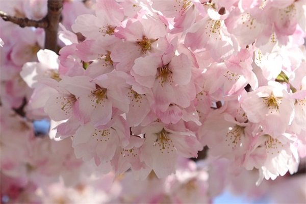 让人开心的幽默句子