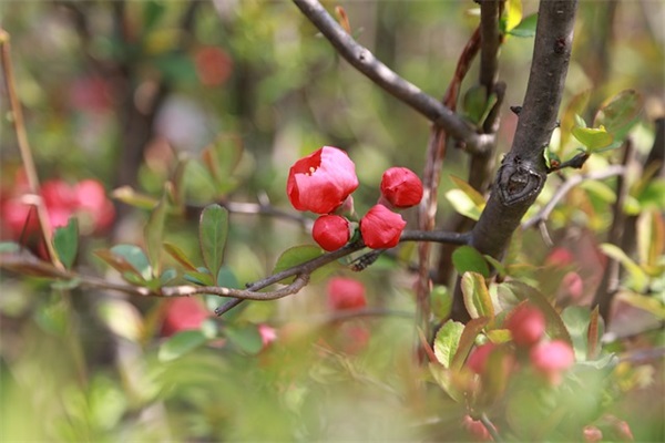 生活很苦现实很累很迷茫的句子摘录(51句)