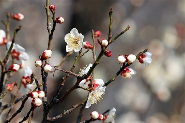 表达心情感慨的句子