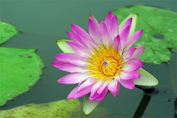 四十岁感悟人生的句子通用