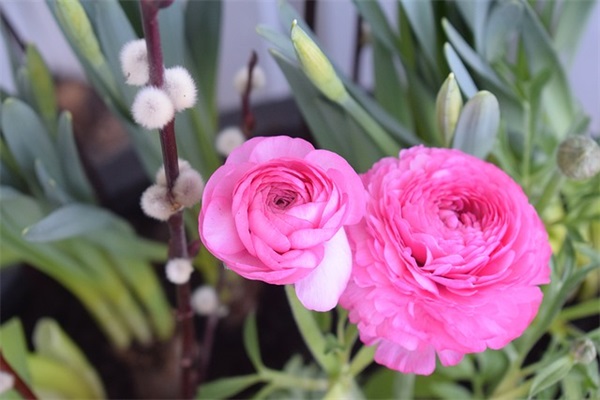 永远保持童心的句子汇总42条