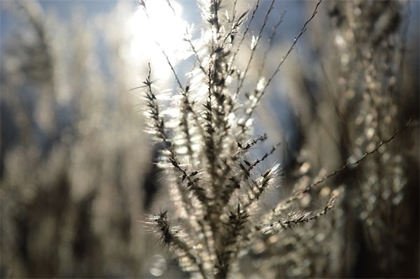 缘分优美句子61条