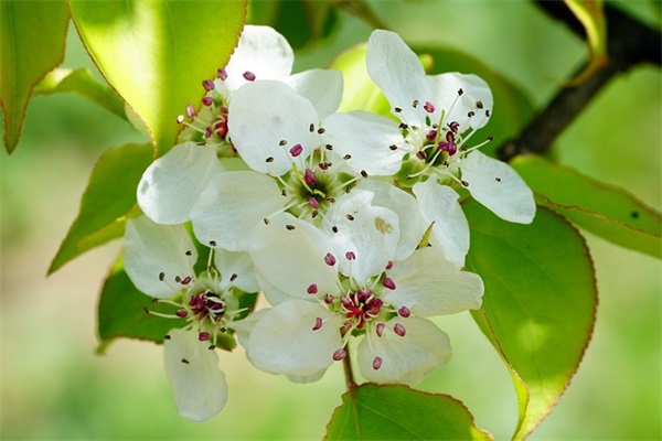 怀念感情的句子通用(41句)