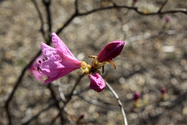 恶有恶报的经典句子(精选35句)