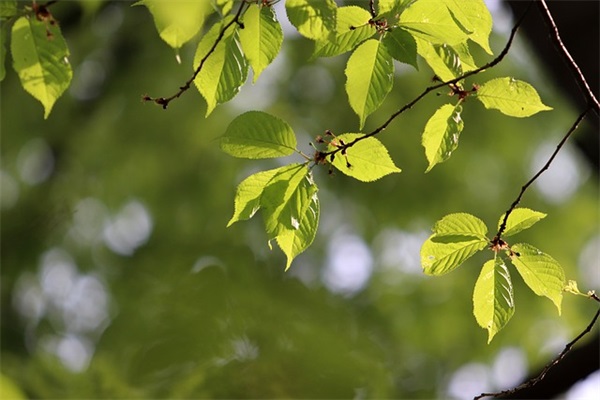 童心的句子73句