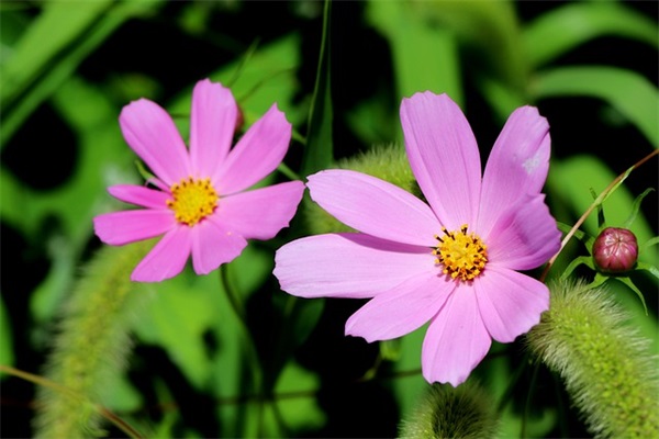 思念的心情句子文案精选52条