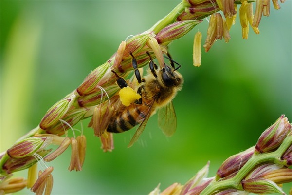雨天幽默正能量的句子合集