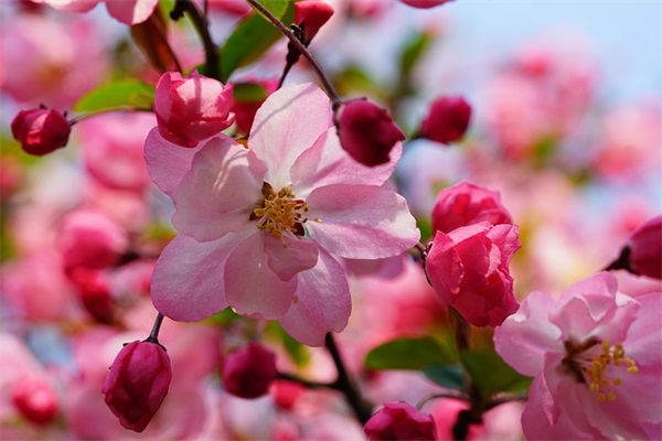 委婉表白的简短句子42条