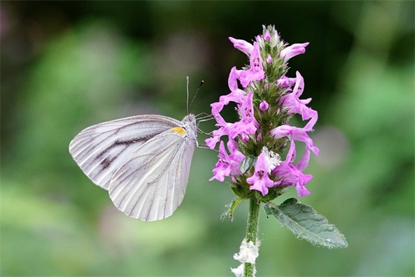 父母亏欠孩子的经典句子(50条)