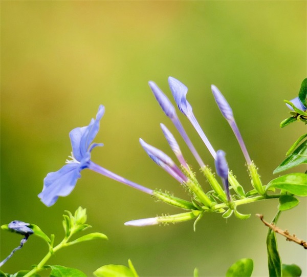 晚上睡不着幽默句子简短52句